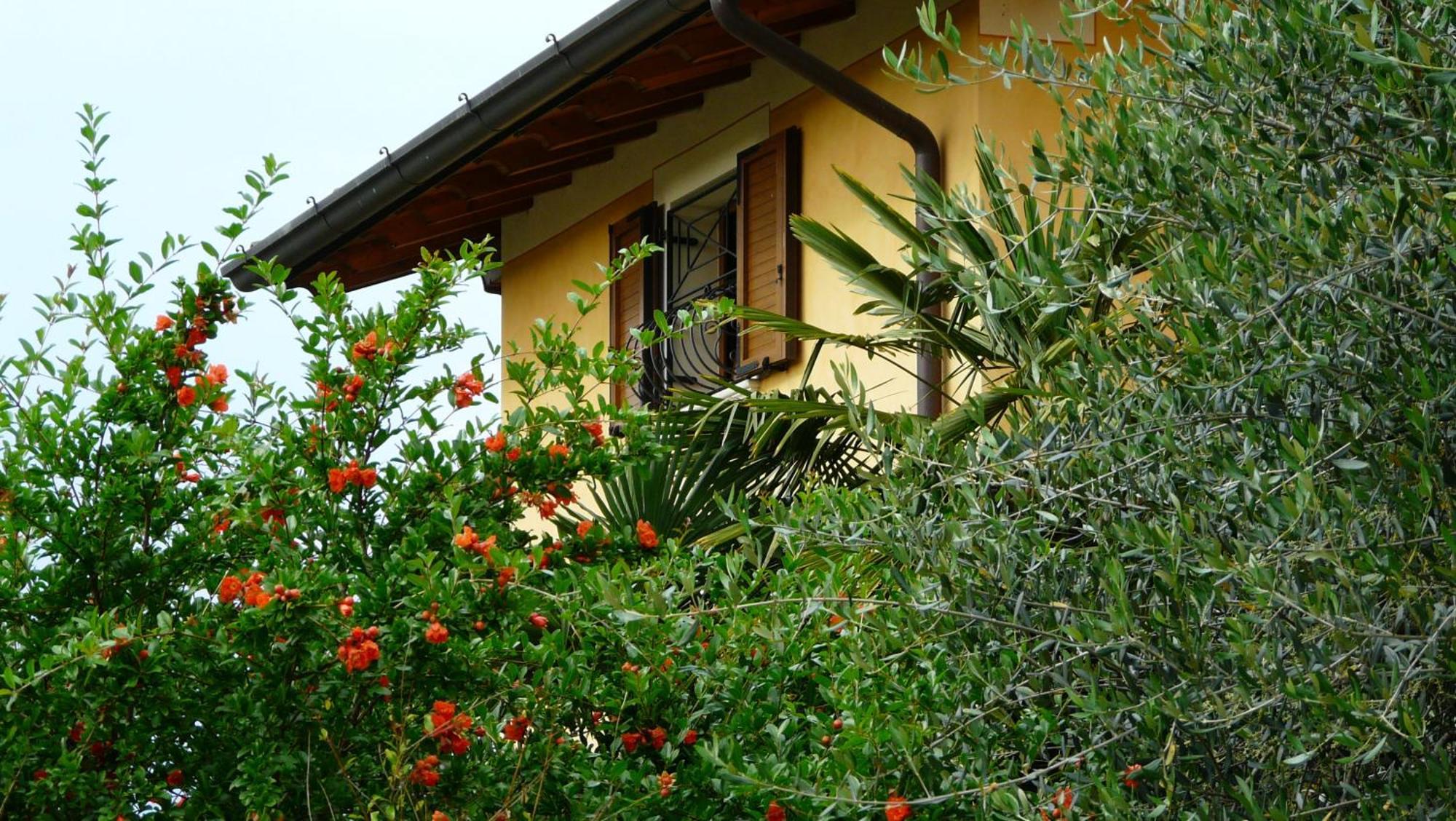 Albergo Le Piante มาแนร์บา เดล การ์ดา ภายนอก รูปภาพ
